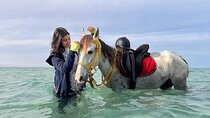 Swimming by Horse 3 Hours ,Beach, Desert & Dinner - Hurghada
