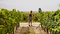 Private Full Day Wine Tasting Tour from Lisbon to Setubal
