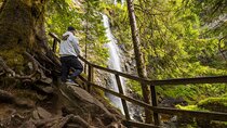 Inverness: Lochs, Waterfalls and Rewilding Experience