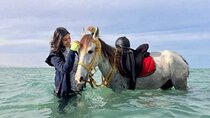 2Hours Horse Ride at Nabq Bay Beach and Transfers–Sharm El Sheikh
