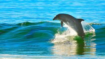 Dolphin House & 2 stops Snorkeling Ultimate Adventure - Hurghada
