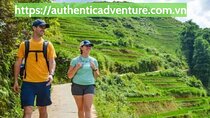 21-Day Vietnam Itinerary Explore North to South Highlights