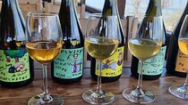 Private Wine Tour In Kakheti Region with 7 Wines and Lunch
