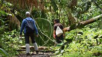 Sinharaja Rain Forest Tour from Galle