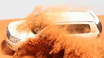 Dubai Desert Safari with BBQ Dinner, Camel Ride, and Shows