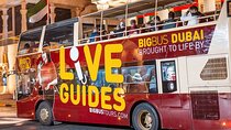 Big Bus Tour Ticket