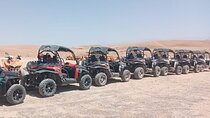 buggy,Camel Ride & dinner show in Agafay desert