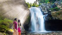 Bali : Monkey Forest, Rice terrace, temple & secluded Waterfall