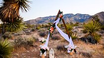 Las Vegas Scenic Wedding Ceremonies
