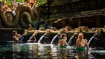 Ubud Sightseeing Private Tour - Instagramable Spot and More