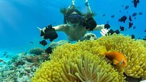 Full Day Private Snorkeling and East Bali