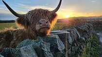 Private Tour of Highlands, Oban, Glencoe, Lochs & Castles from Glasgow