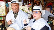PRIVATE Tour of the Café and Ride in Pereira