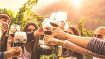 Private Day Trip Mendoza Wineries (Opt Airfare from Buenos Aires)