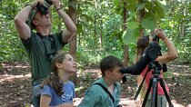 Guided tour in Carara National Park