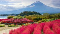 From Tokyo: Mount Fuji Highlights Tour with Kawaguchi Lake Cruise