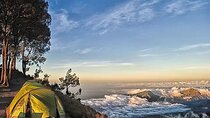 Mount Rinjani Trekking 3D2N via Sembalun – Summit, Rim & Lake