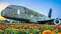 Dubai Miracle garden with optional transport