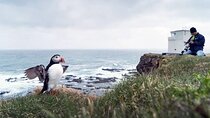 8-Days Westfjords of Iceland