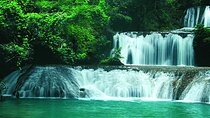 Full Day Trip to South Coast Jamaica from Kingston