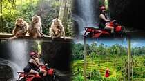 Waterfall ATV Ride and Ubud Tour