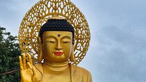 Western Jeju: All Inclusive Private Tour w/ Korean Archery