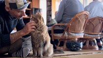 Phantom cafe tour in the Shuri by e-bike
