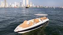Cartagena Private 8-hour Luxury Boat Tour to Rosario Islands