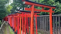 Nezu Shrine and Yanaka backstreet walking tour by Storyteller
