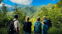 Levada do Rei (PR18) - Through Madeira's Majestic Laurissilva
