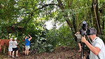  Sloth Discovery Tour in La Fortuna Wildlife