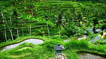 Full-Day Ubud Private Tour With Swing and Waterfall