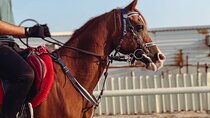 Private-Doha Half Day Safari/Horse Ride and Camel Ride included