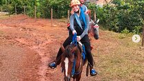  Horseback riding and Agri-Tour in Colon Private tour