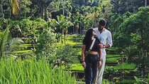 Full-Day Tour Highlights of Ubud