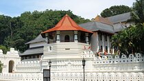 Kandy and Tea Tasting Day Trip from Colombo
