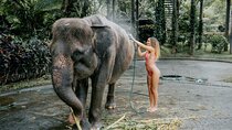 Real Ubud Private Customised Tour By Local Guides
