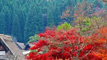 Enjoyable One day Bus Tour From Nagoya