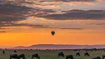 7 Days Honeymoon Luxury Safari to Four Season Lodge