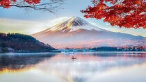 Customizable Private Tour in Mt Fuji from Tokyo by Car or Van
