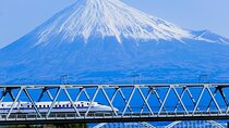 Mount Fuji & Hakone Private Tour from Tokyo Return w Bullet Train