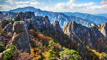 Full-Day Tour in Mt. Seorak & Nami (+Rail Bike Option)