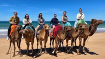 4 hour private Tour of Tangier 