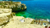 Marseille Cruise Port ⟺ CASSIS (RoundTrip)