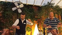 The Flavours of Barcelona
