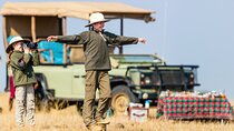4-Day Kruger Katekani & Balule Safari from Johannesburg