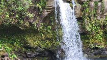 Private Half Day Road to Hana Tour