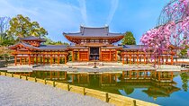  Osaka: Nara Deer Park,Uji Matcha and Hot Spring Full-Day Tour