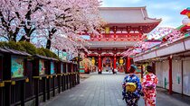 Private Tailored Tour with Local Guide in Tokyo