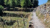 Private Path of the Gods, from Agerola